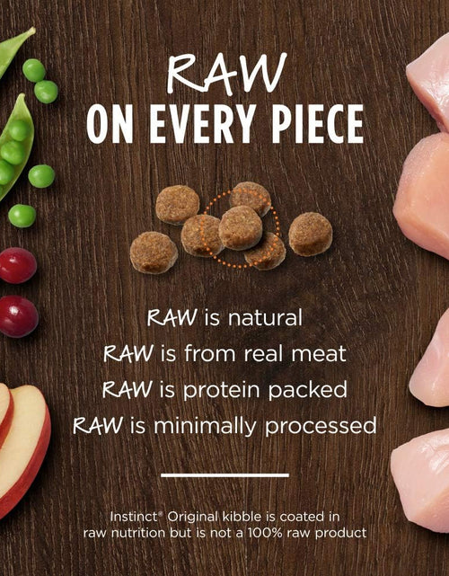 Load image into Gallery viewer, Grain Free Kitten Food, Original Kitten Recipe Natural Dry Cat Food or Wet Cat Food
