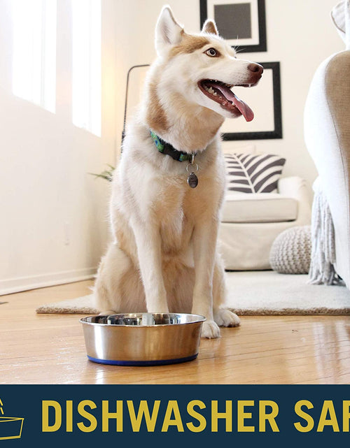 Load image into Gallery viewer, Durapet Dog Bowls, Dog Food Bowls &amp; Dog Water Bowls (Stainless Steel Dog Bowl to Replace Ceramic Dog Bowls) Large Dog Bowls, Dog Bowls Medium Sized Dogs &amp; Dog Bowls Small Size Dog
