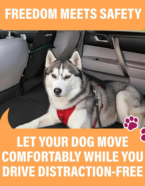 Load image into Gallery viewer, Orange Car Seat Belt for Dogs, Attaches to Harness &amp; Collar, Adjustable 18" - 24" Travel Restraint System Fits Small - Large Pups for Safety &amp; Comfort, Essential Pet Supplies &amp; Accessories
