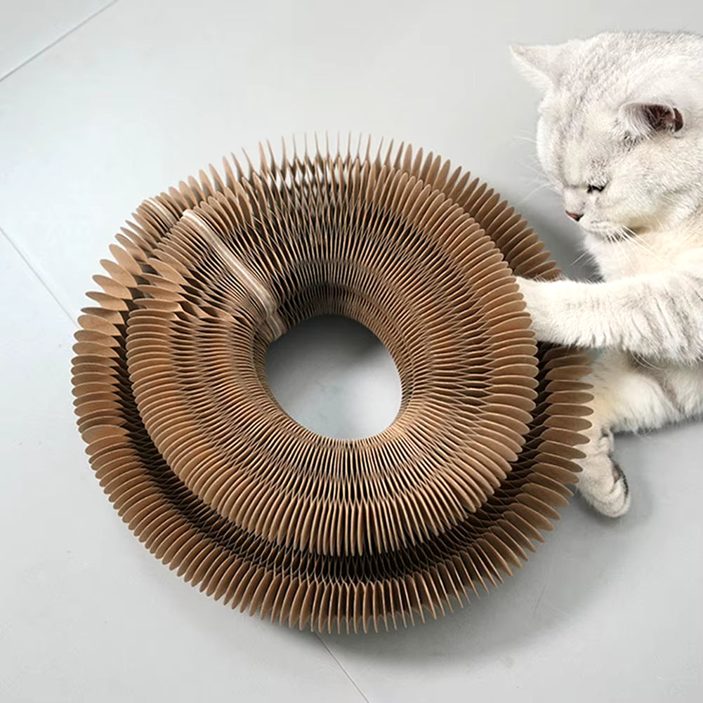 PurrfectScratch Magic Organ Cat Scratching Board – Interactive Claw Grinder & Fun Toy for Cats