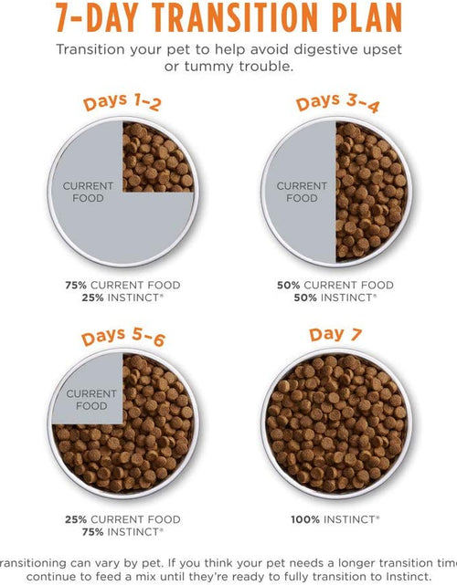 Load image into Gallery viewer, Grain Free Kitten Food, Original Kitten Recipe Natural Dry Cat Food or Wet Cat Food
