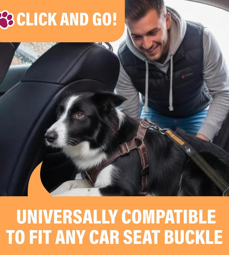 Orange Car Seat Belt for Dogs, Attaches to Harness & Collar, Adjustable 18" - 24" Travel Restraint System Fits Small - Large Pups for Safety & Comfort, Essential Pet Supplies & Accessories
